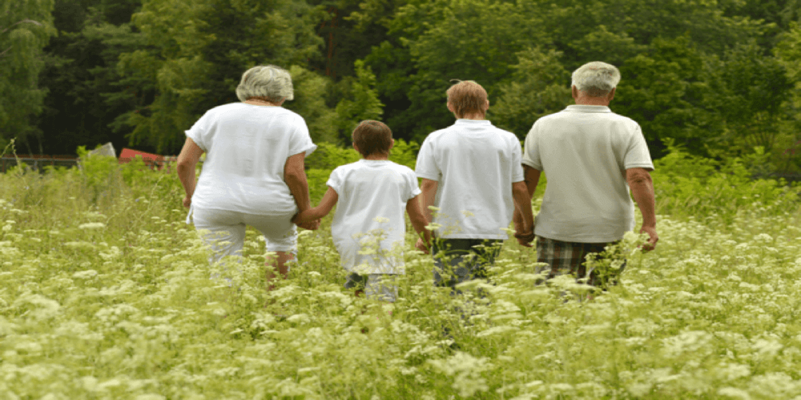 Safeguarding Care Wings